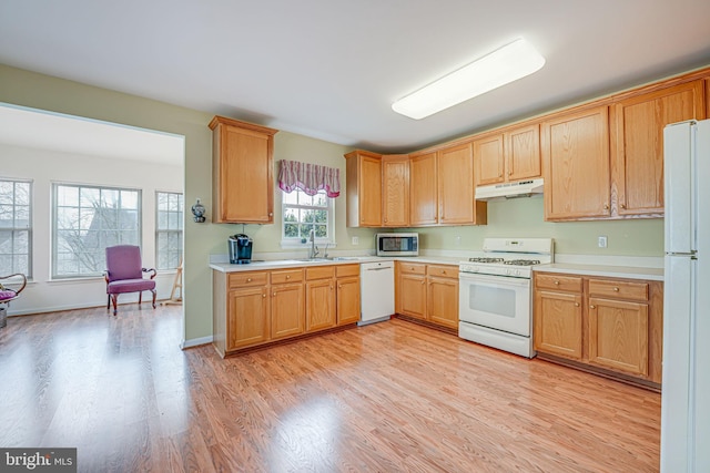 kitchen featuring sink, light hardwood / wood-style floors, and white appliances