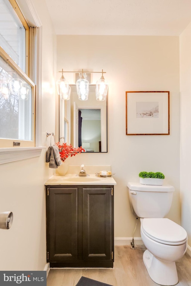 bathroom with vanity, hardwood / wood-style flooring, and toilet