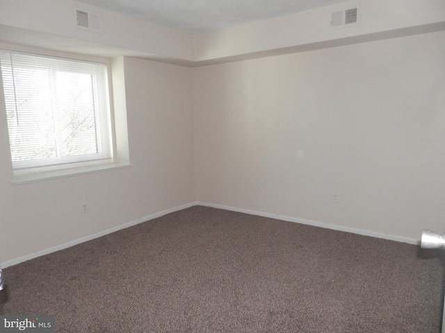 spare room with carpet