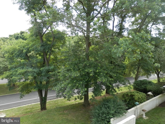 12 Dougherty Blvd Unit A5, Glen Mills, PA 19342 - view of yard