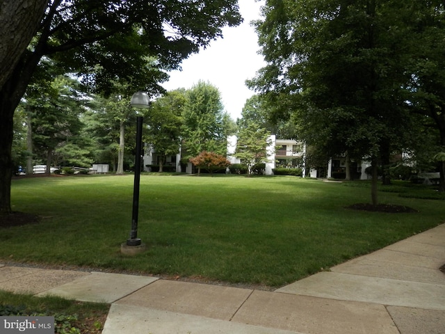12 Dougherty Blvd Unit A5, Glen Mills, PA 19342 - view of home's community featuring a yard