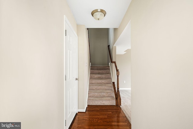 staircase with wood-type flooring