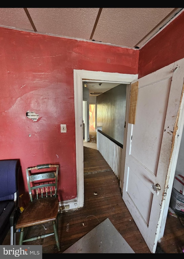 hallway with dark wood-type flooring