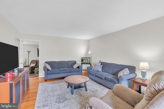 living room featuring light hardwood / wood-style flooring