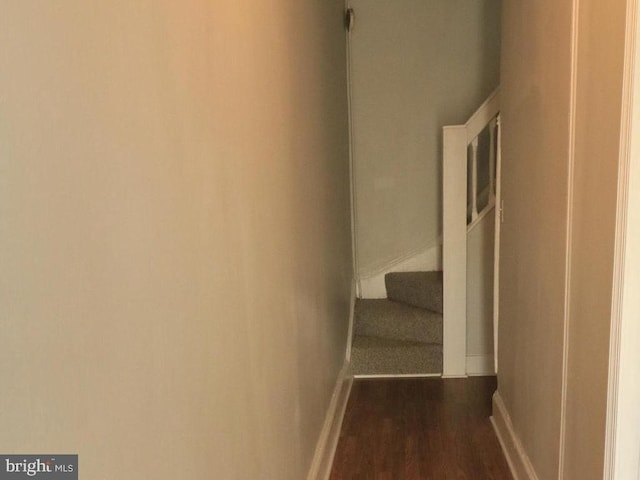 corridor with dark wood-type flooring