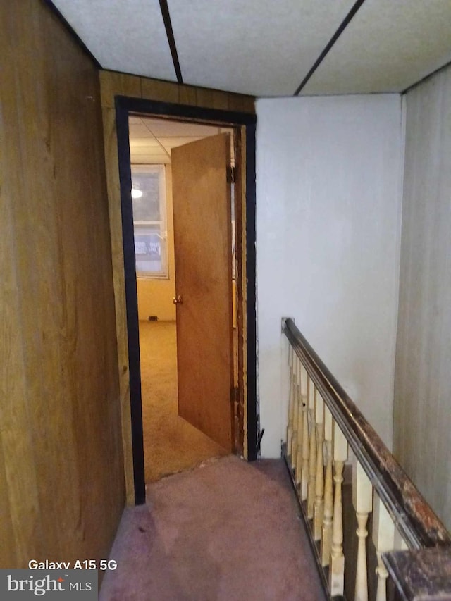 hallway with carpet and wooden walls