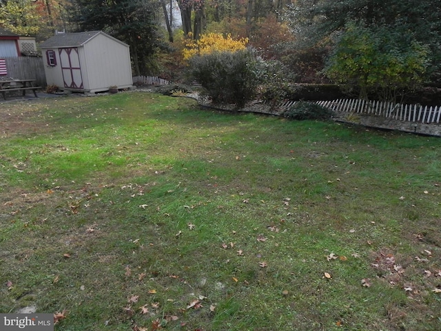 view of yard featuring a shed