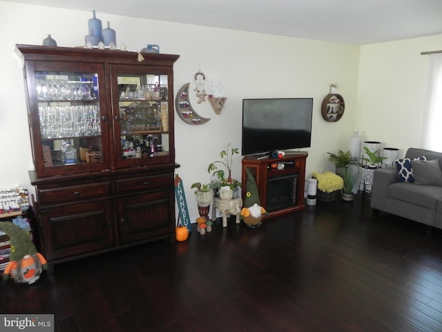 living room with dark hardwood / wood-style floors