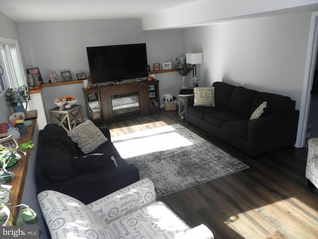 living room featuring dark hardwood / wood-style floors