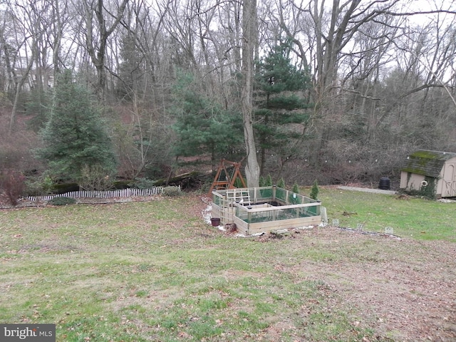 view of yard with a storage shed