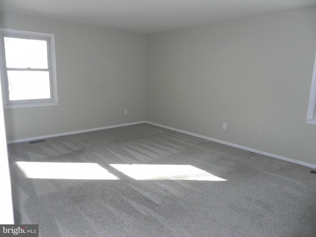 spare room featuring carpet