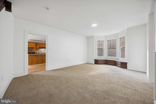 interior space featuring carpet, a spacious closet, and a closet