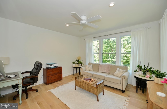 home office featuring ceiling fan and light hardwood / wood-style flooring