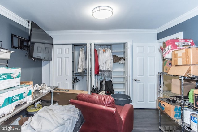 bedroom featuring dark wood-type flooring, two closets, and crown molding