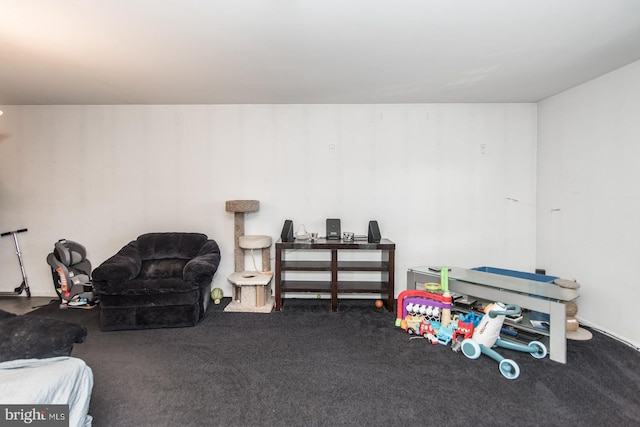 living area with carpet floors