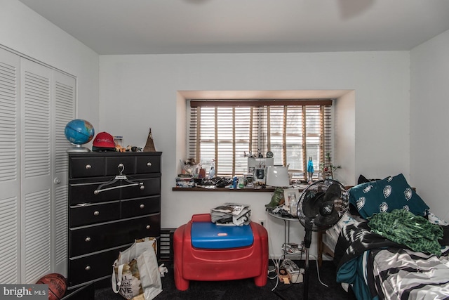 interior space featuring carpet and a closet