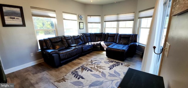 living room with hardwood / wood-style flooring