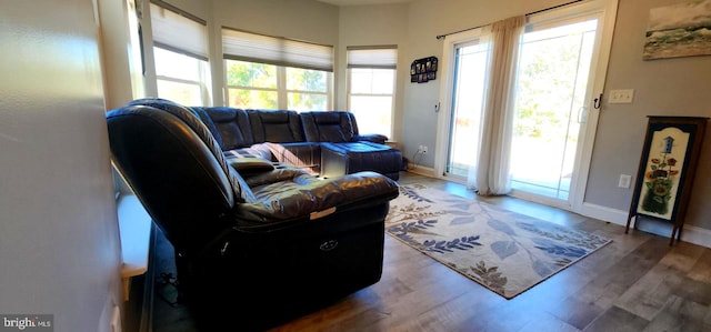 living room with hardwood / wood-style flooring