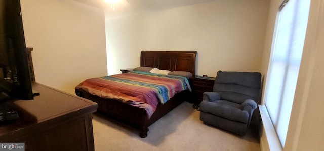 bedroom featuring multiple windows and light carpet