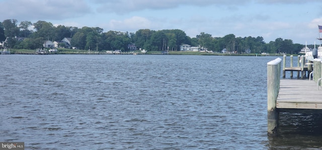 dock area featuring a water view