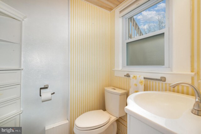 bathroom with sink and toilet