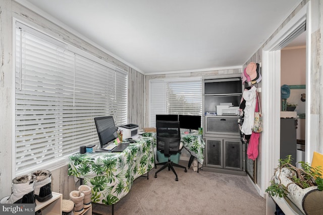 office space featuring crown molding and light colored carpet