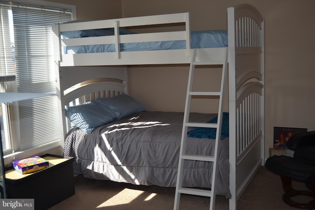 bedroom featuring carpet and multiple windows