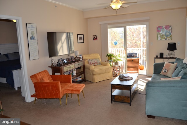 living room featuring carpet, ceiling fan, and ornamental molding