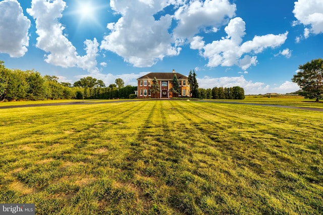 view of yard featuring a rural view