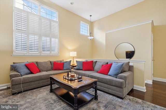 living room featuring wood-type flooring