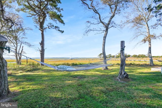 11209 Woodside Dr, Berlin, MD 21811 - view of yard