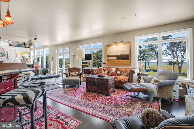 living room featuring french doors and hardwood / wood-style flooring