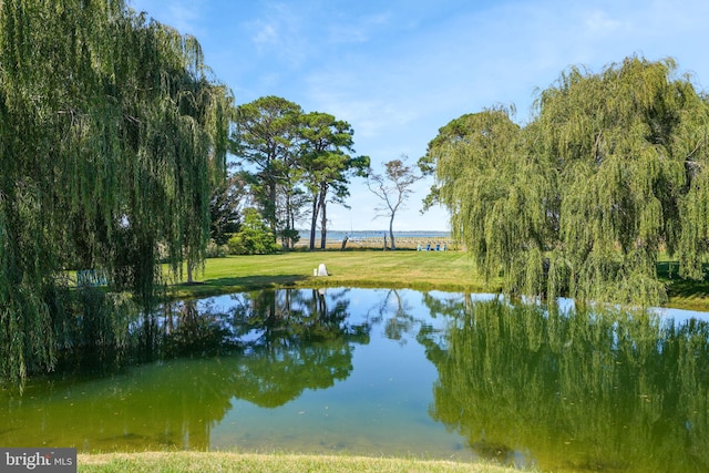 11209 Woodside Dr, Berlin, MD 21811 - water view