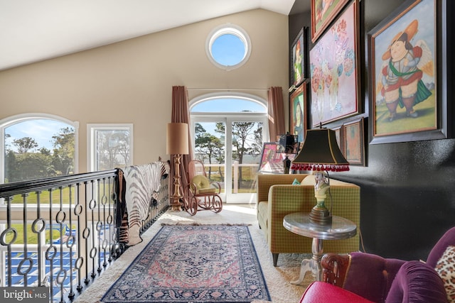 11209 Woodside Dr, Berlin, MD 21811 - living area featuring high vaulted ceiling and carpet