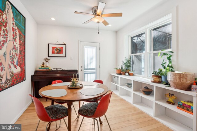 dining room featuring light hardwood / wood-style flooring and ceiling fan