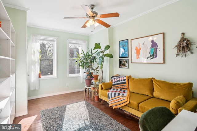 living room with dark hardwood / wood-style floors, ceiling fan, and ornamental molding