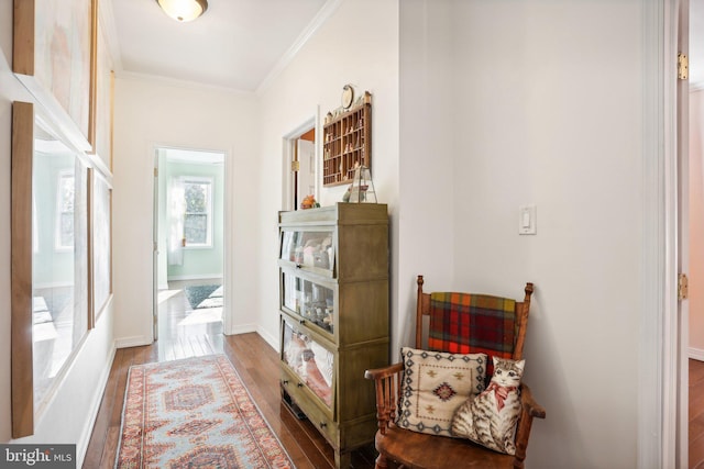 corridor featuring hardwood / wood-style floors and ornamental molding