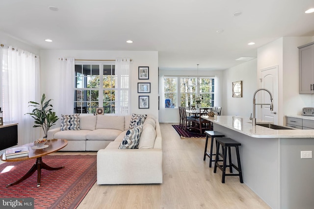 living room featuring light hardwood / wood-style floors and sink