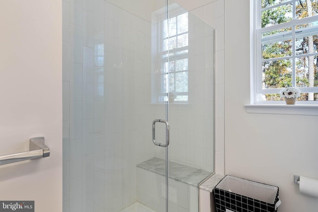 bathroom featuring a healthy amount of sunlight and a shower with shower door