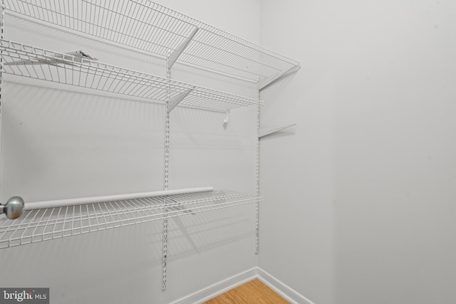 walk in closet with wood-type flooring