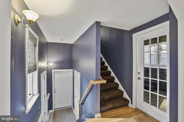 staircase with wood-type flooring