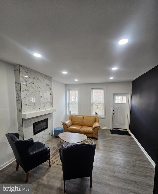 living room with hardwood / wood-style flooring and a premium fireplace