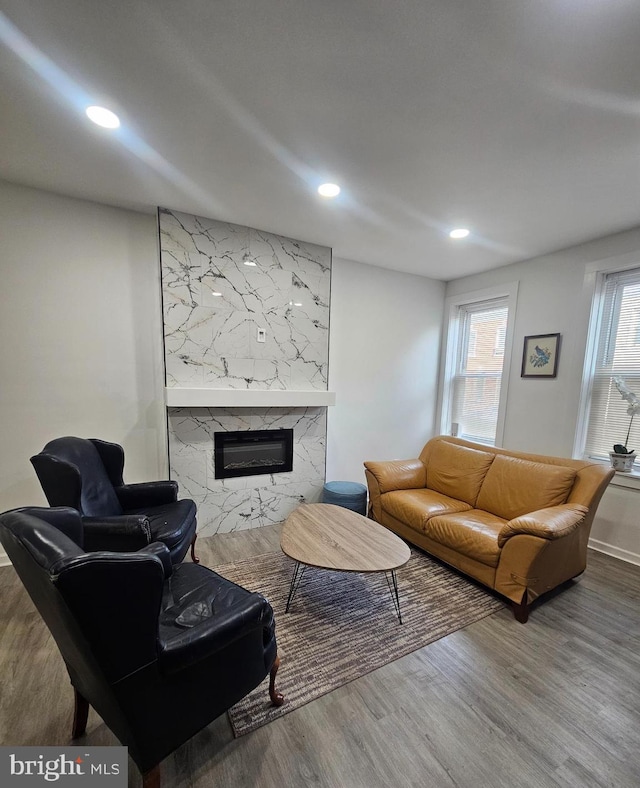 living room with hardwood / wood-style floors and a high end fireplace