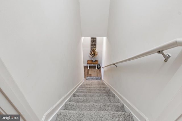 stairs featuring carpet floors