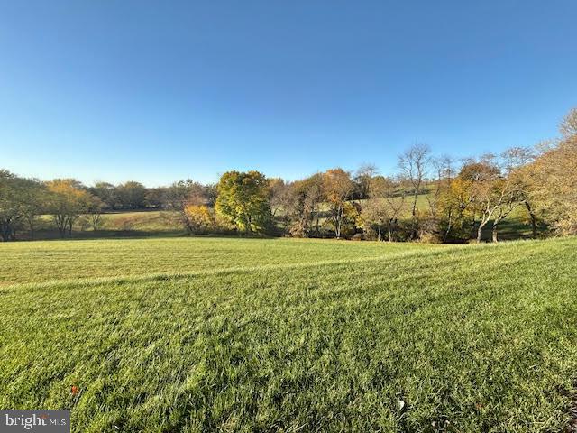 view of yard with a rural view