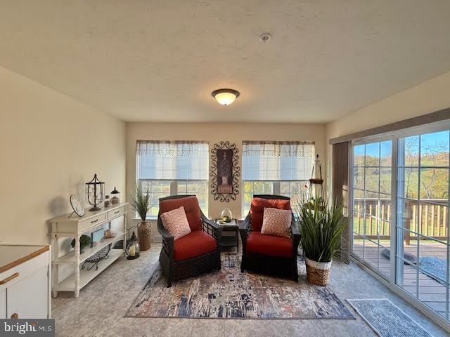 living area with a wealth of natural light