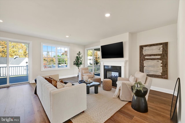 living room with dark wood-type flooring