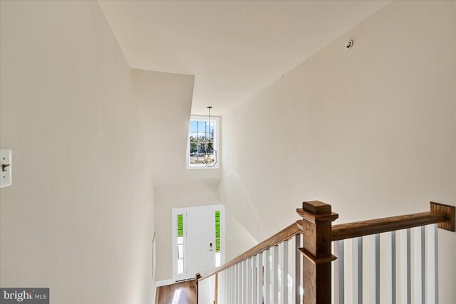 staircase featuring wood-type flooring