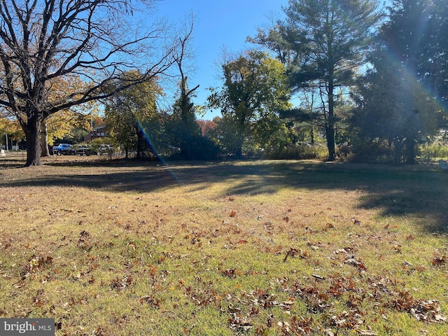 105 Pine St, Mount Holly, NJ 08060 - view of green lawn