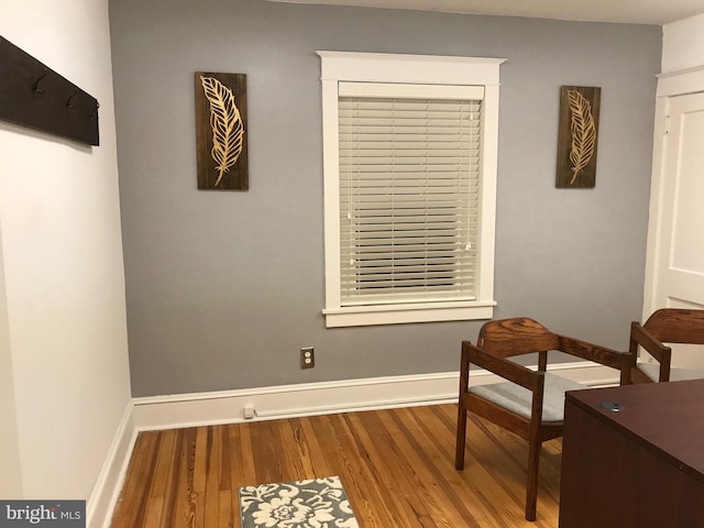 living area with wood-type flooring